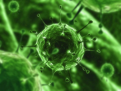 common cold virus. A common cold. A rhinovirus.